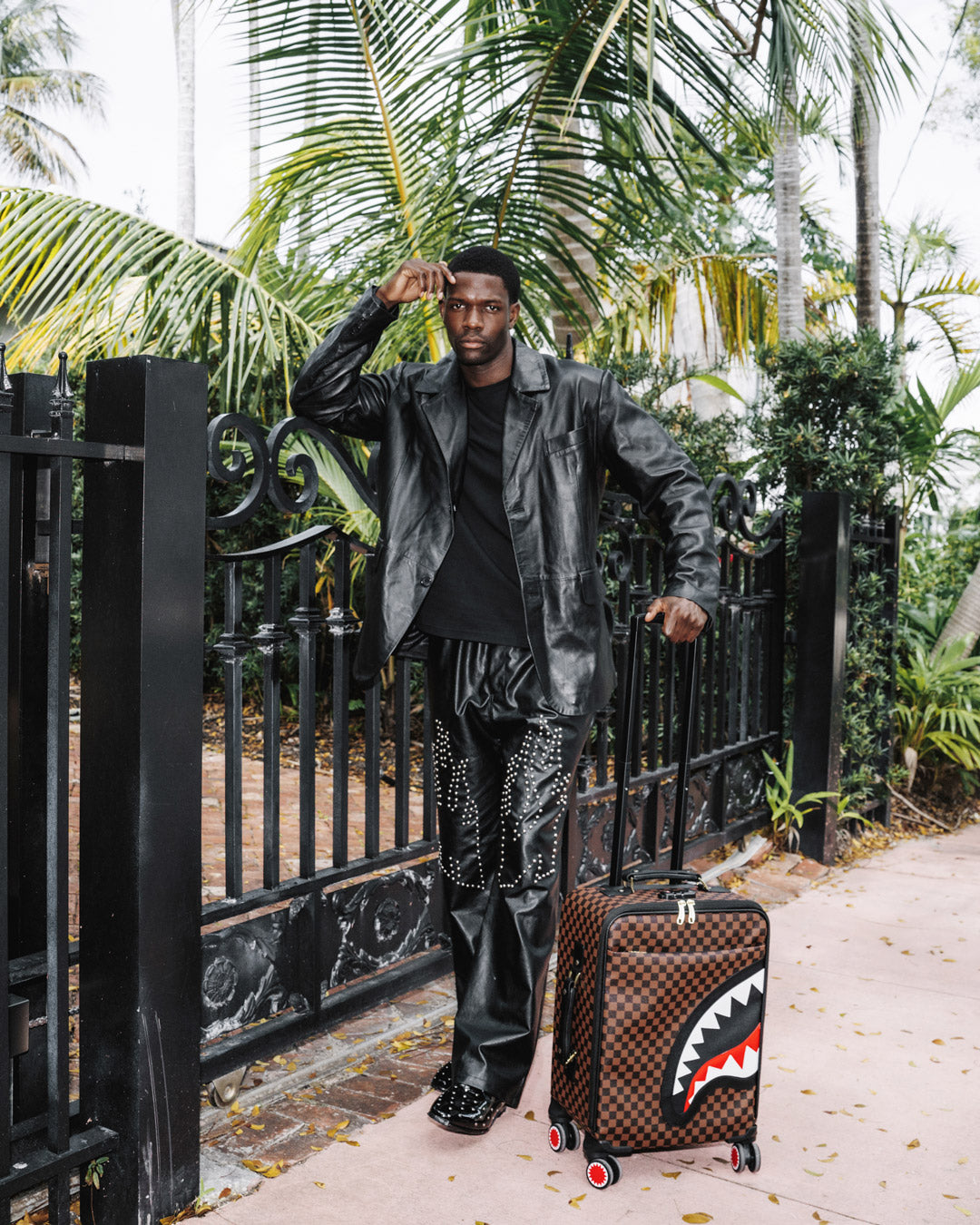 SAWTOOTH SHARKS IN PARIS CARRY-ON LUGGAGE